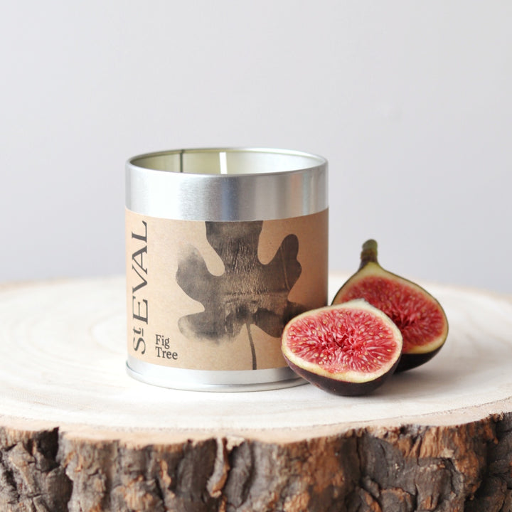 St Eval Tin Candle - Fig Tree