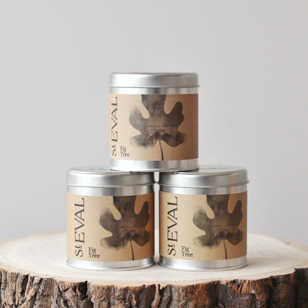 St Eval Tin Candle - Fig Tree