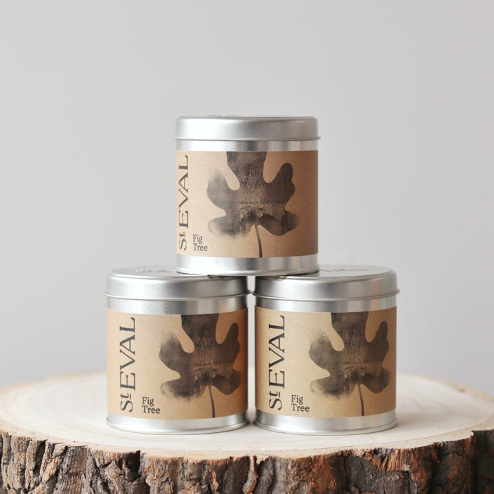 St Eval Tin Candle - Fig Tree