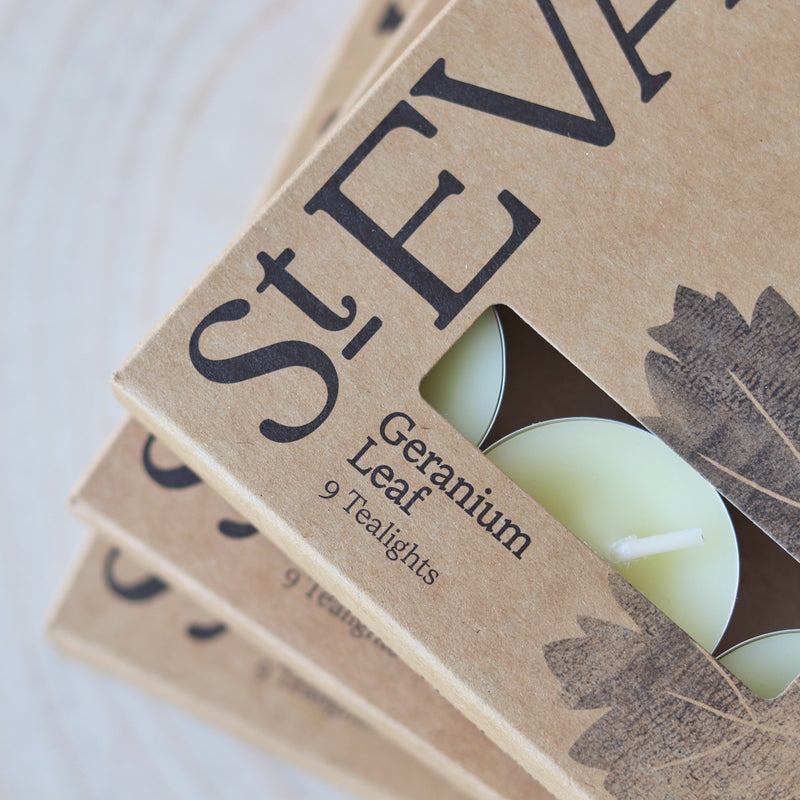 St Eval Boxed Tealights - Geranium Leaf