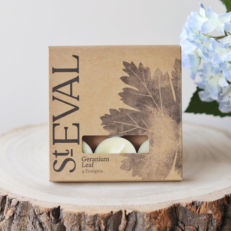 St Eval Boxed Tealights - Geranium Leaf