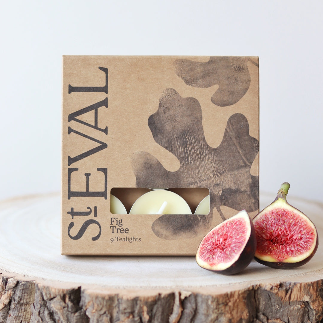 St Eval Boxed Tealights - Fig Tree