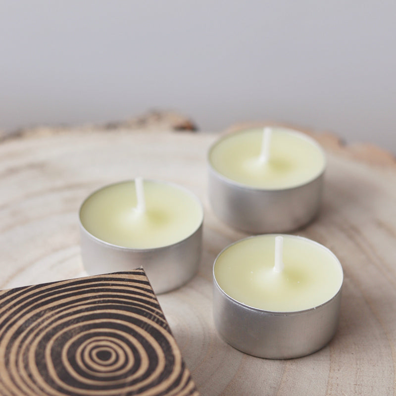 St Eval Boxed Tealights - Sandalwood