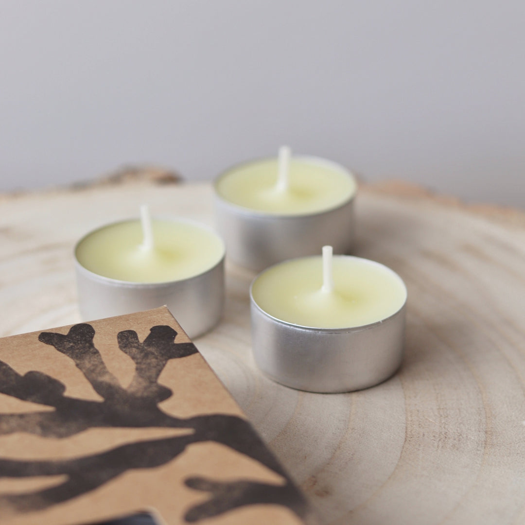 St Eval Boxed Tealights - Sea Salt