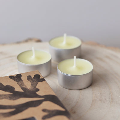 St Eval Boxed Tealights - Sea Salt