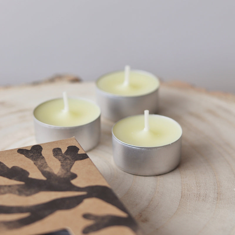 St Eval Boxed Tealights - Sea Salt