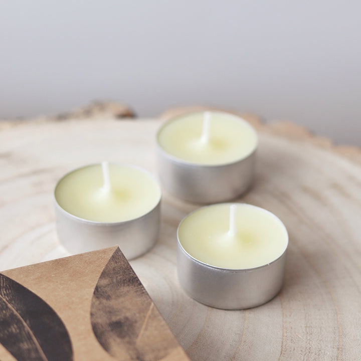 St Eval Boxed Tealights - Bay &amp; Rosemary