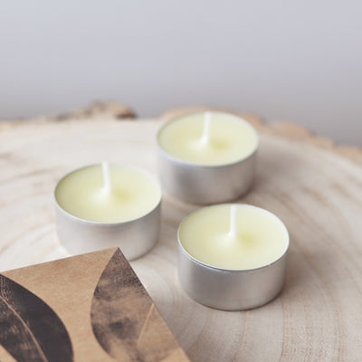St Eval Boxed Tealights - Bay & Rosemary