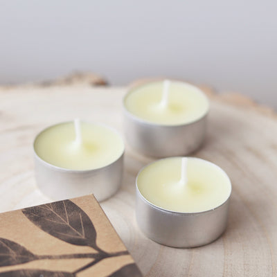 St Eval Boxed Tealights - Grapefruit & Lime