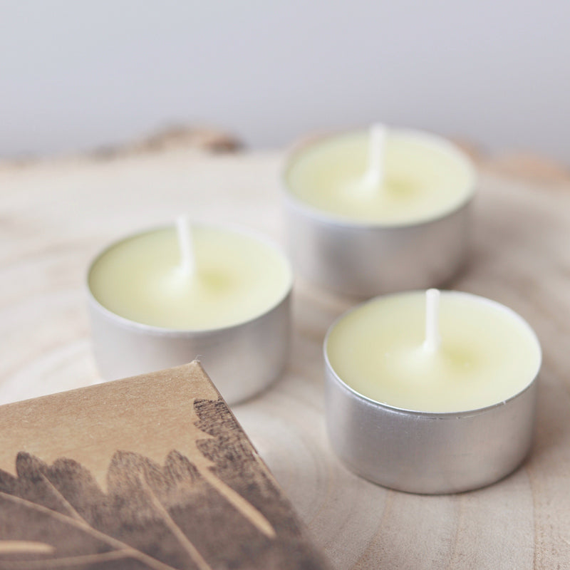 St Eval Boxed Tealights - Geranium Leaf