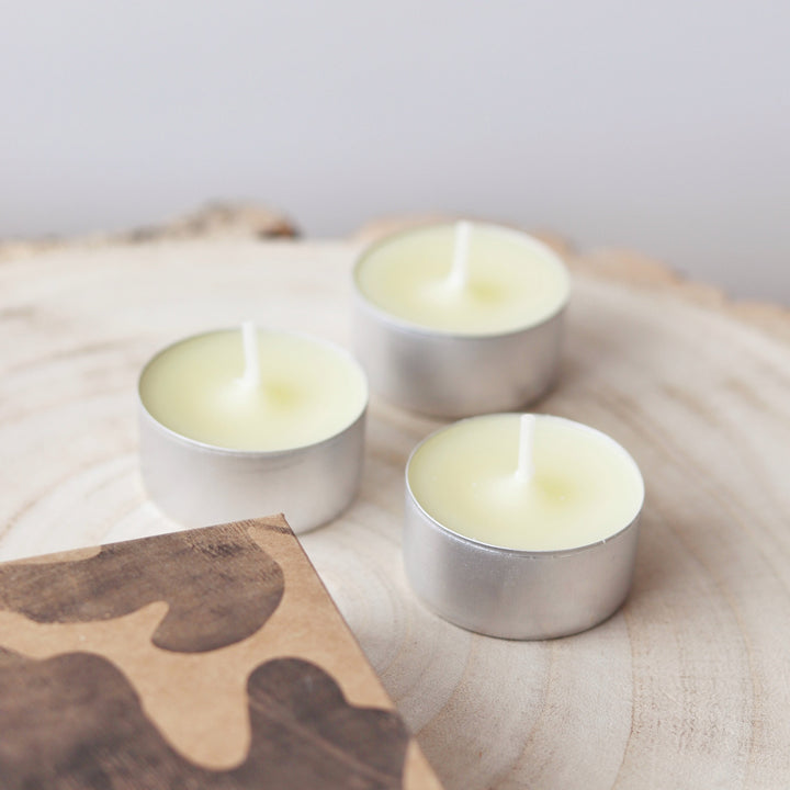 St Eval Boxed Tealights - Fig Tree