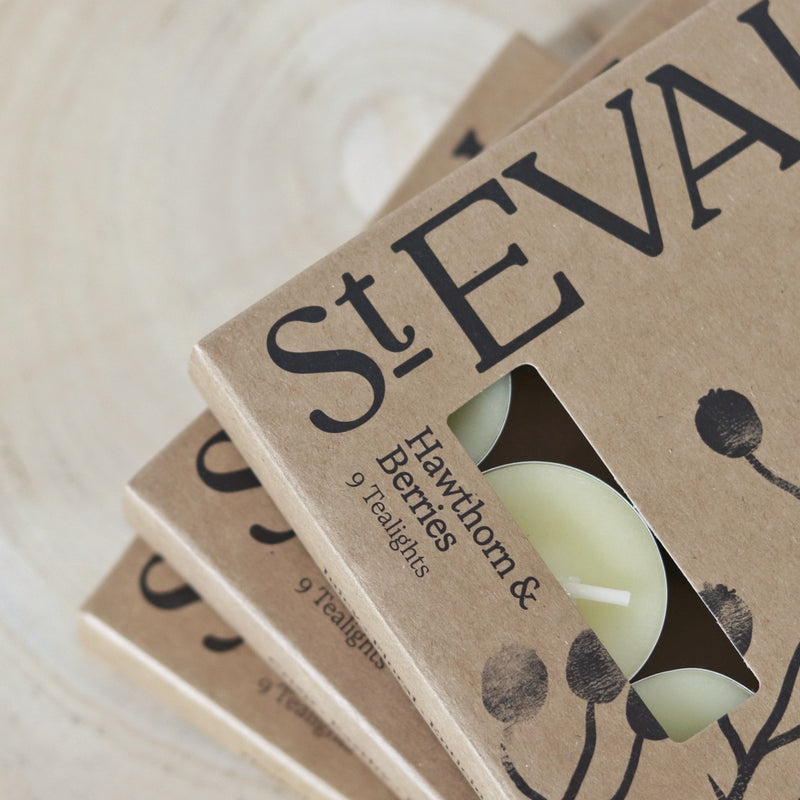 St Eval Boxed Tealights - Hawthorn & Berries