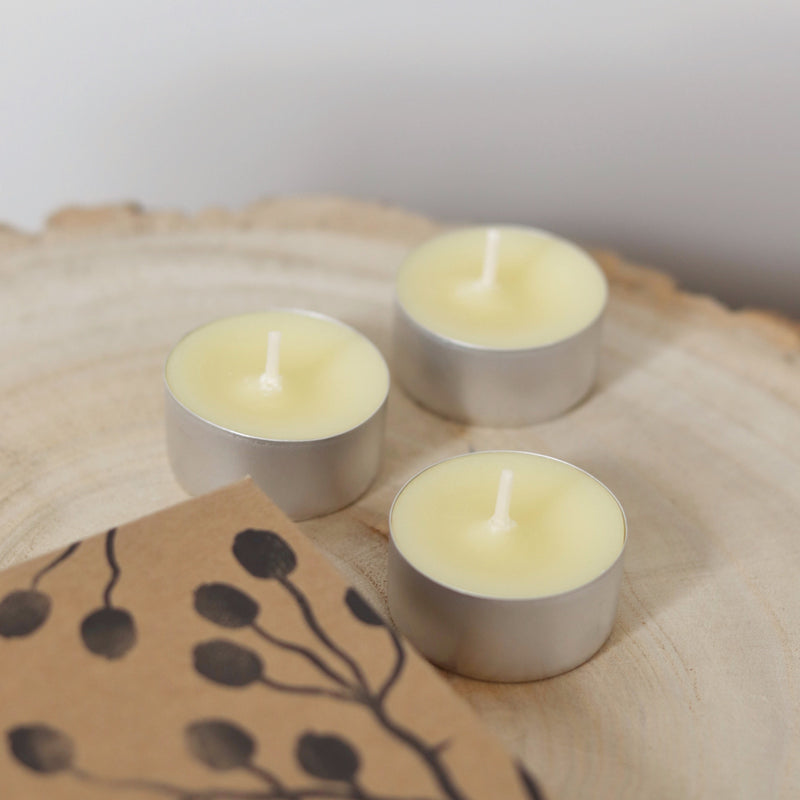 St Eval Boxed Tealights - Hawthorn & Berries