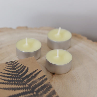 St Eval Boxed Tealights - Granite & Moss