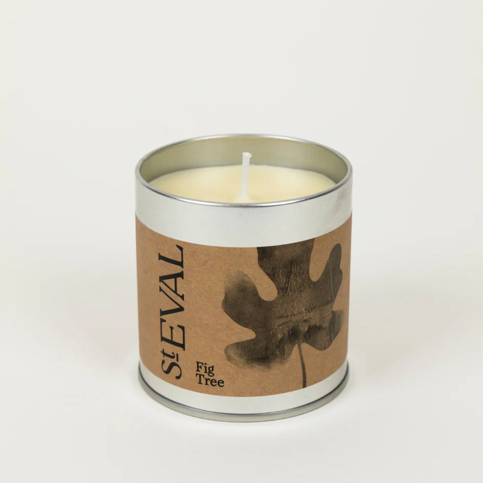 St Eval Tin Candle - Fig Tree