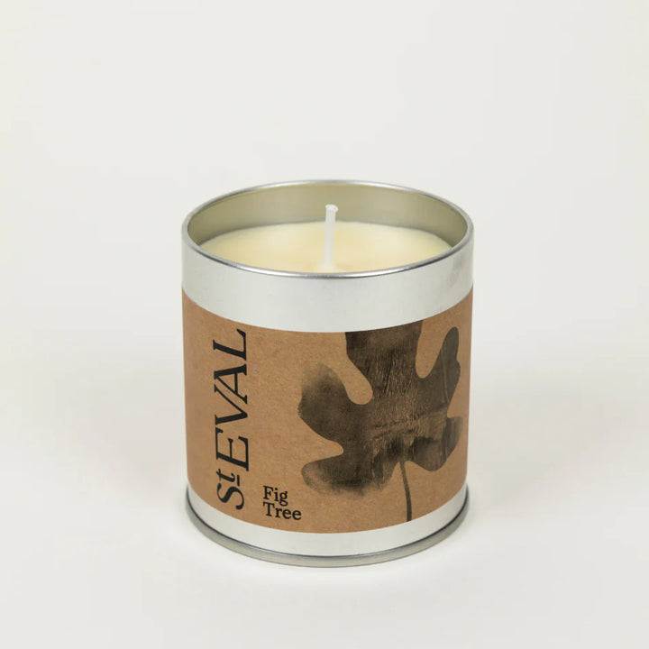 St Eval Tin Candle - Fig Tree