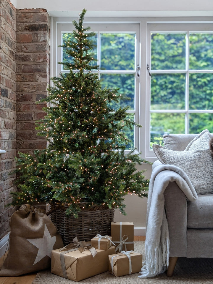 Grandis Pre-Lit Fir Christmas Tree – 8ft / 240cm