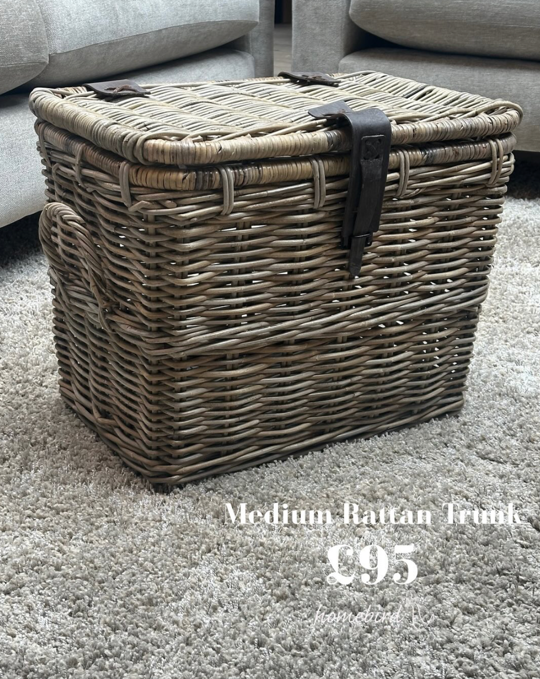 Maine Rattan Leather Strap Trunk