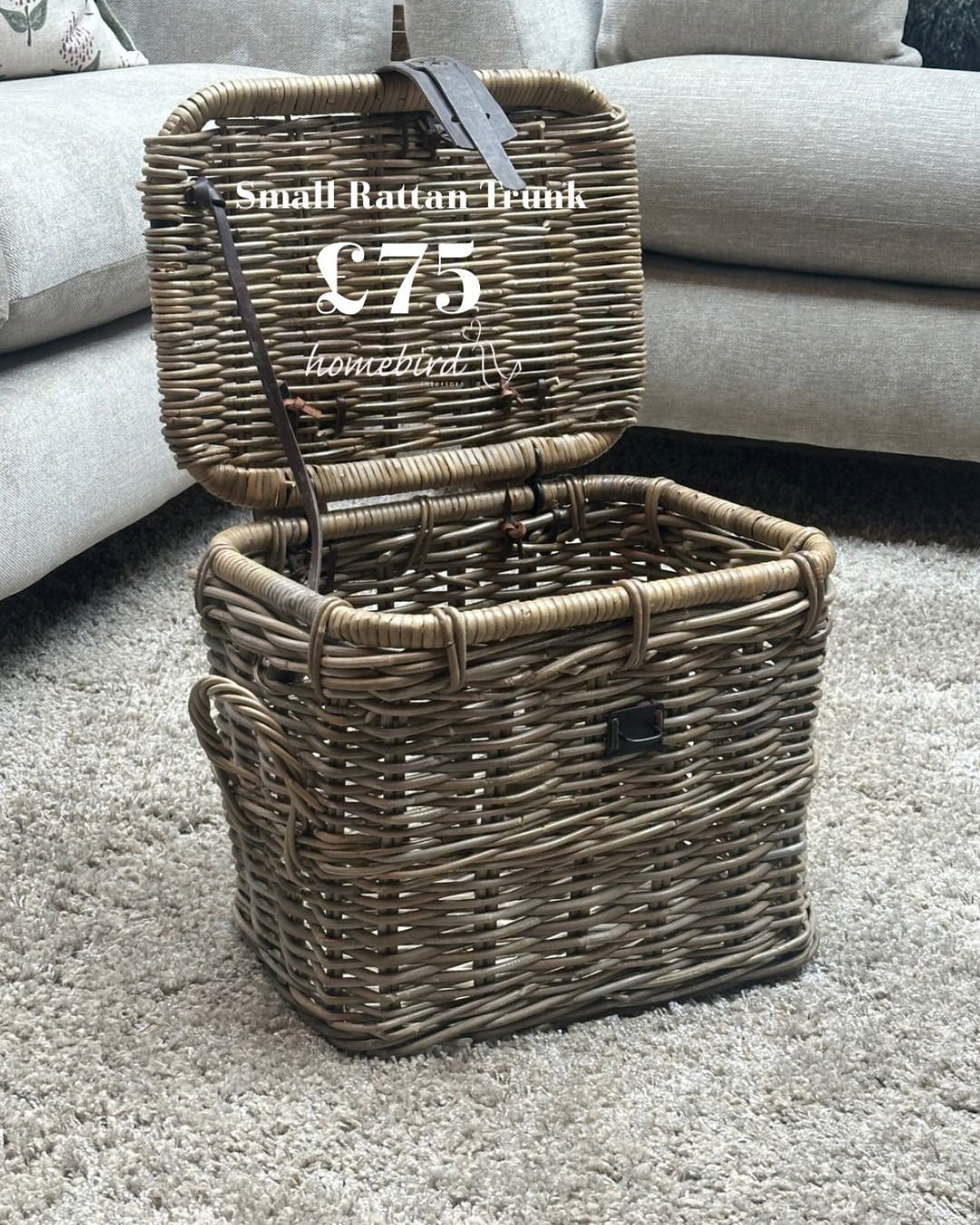 Maine Rattan Leather Strap Trunk